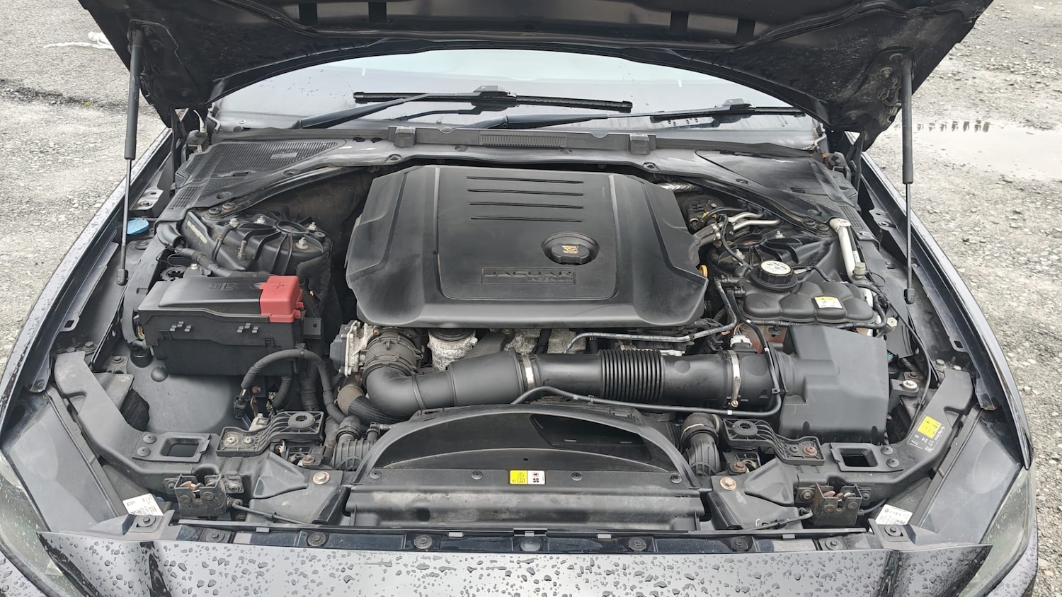 Used Jaguar XE 2018 for sale - 77700920: Photo 25