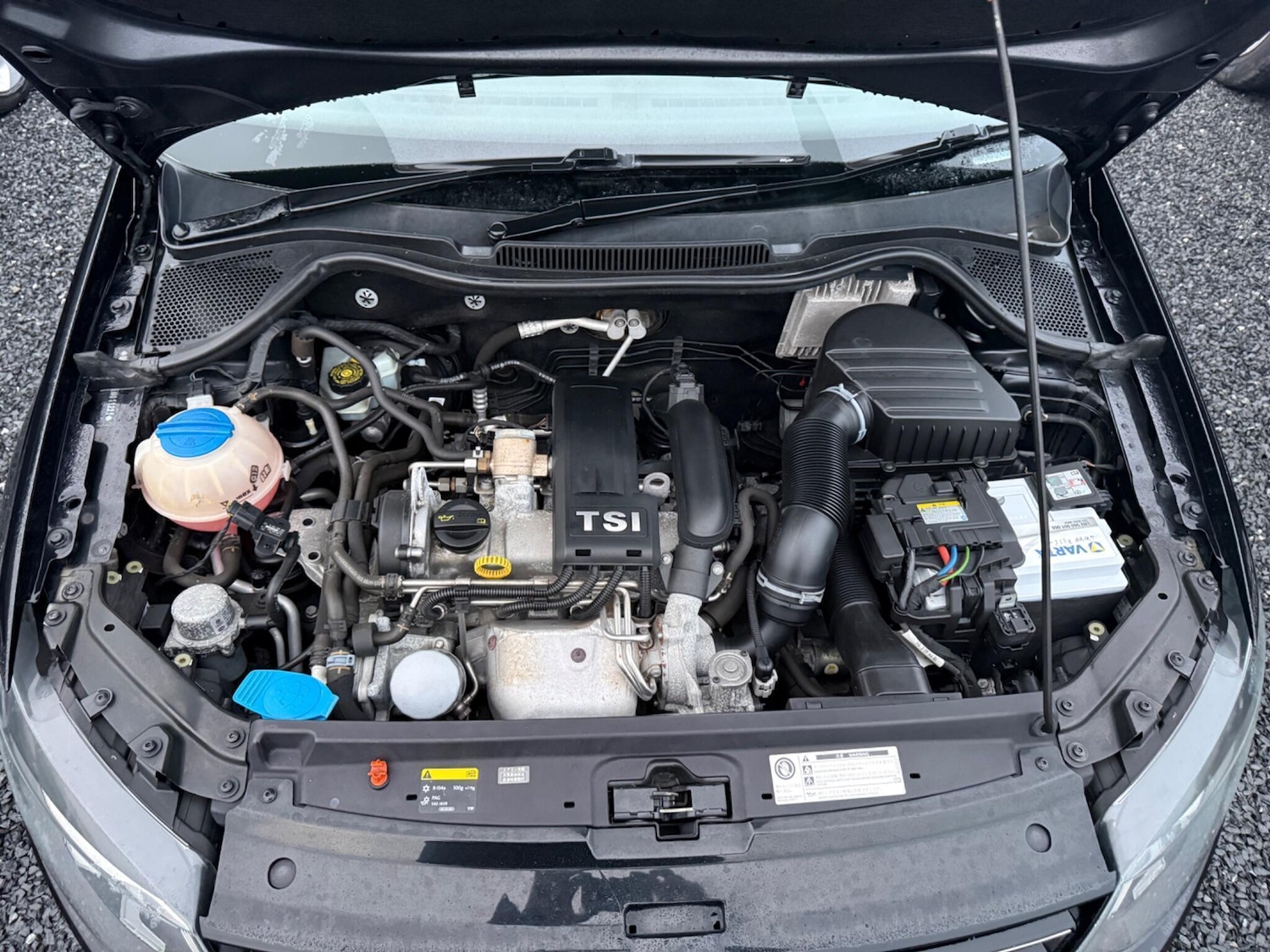 Used Volkswagen Polo 2025 for sale - 77276766: Photo 18