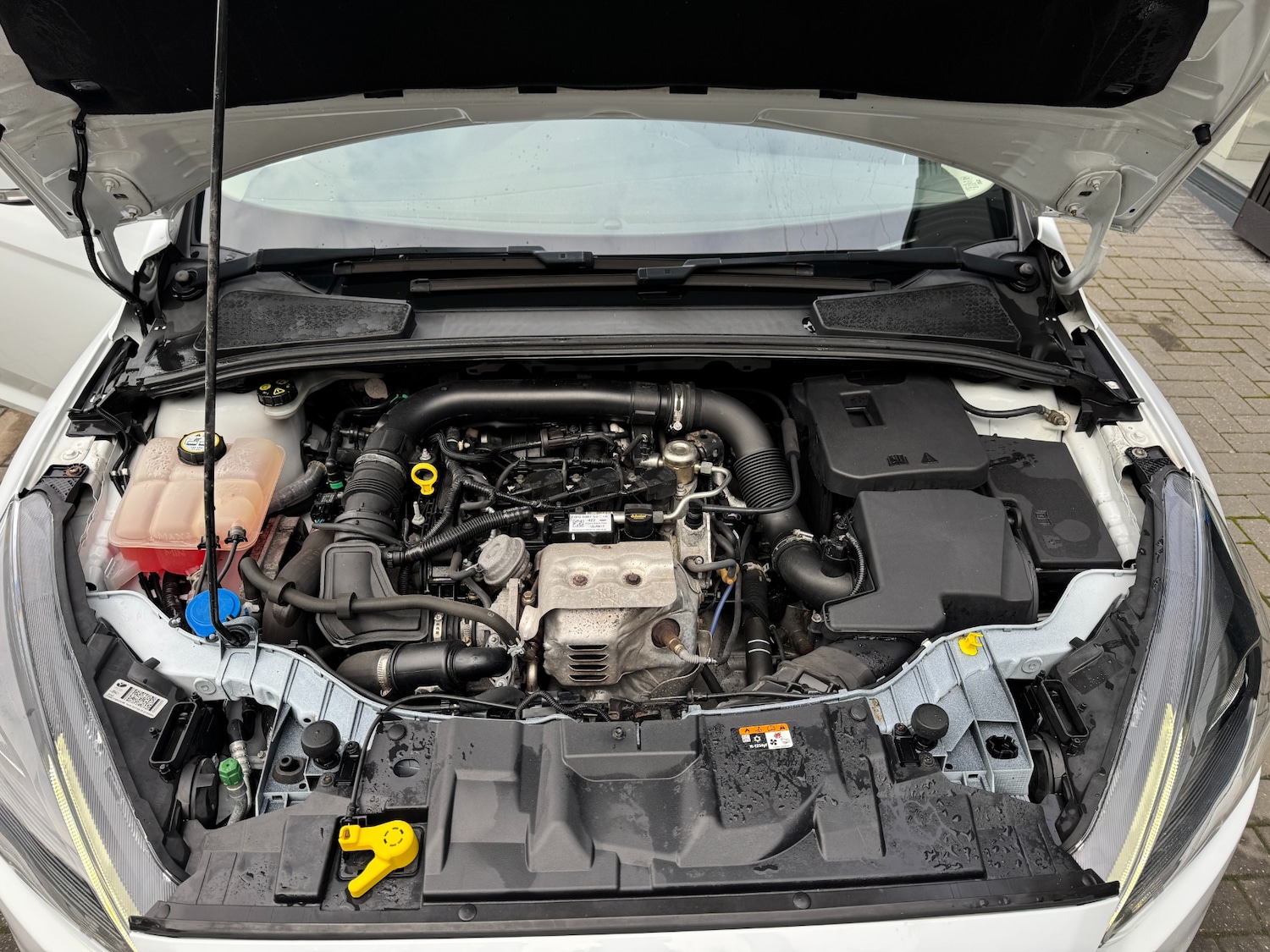 Used Ford Focus 2017 for sale - 76243276: Photo 20