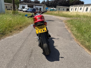Used Triumph SPEED 2010 for sale - bike-79224726: Photo