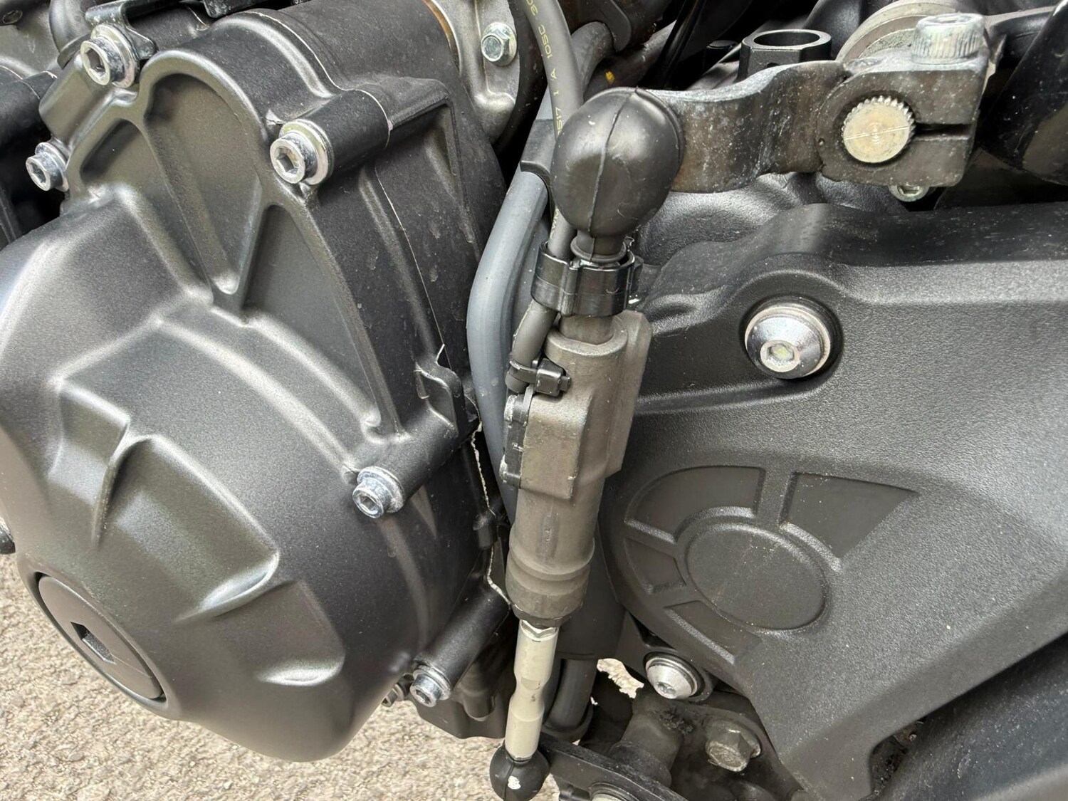 Used Yamaha MT-09 2024 for sale - 78539230: Photo 24