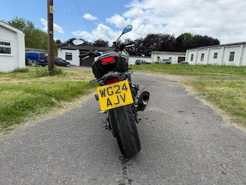 Used Yamaha MT-09 2024 for sale - bike-78539230: Photo