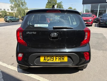 Used Kia Picanto 2019 for sale - 79000631: Photo