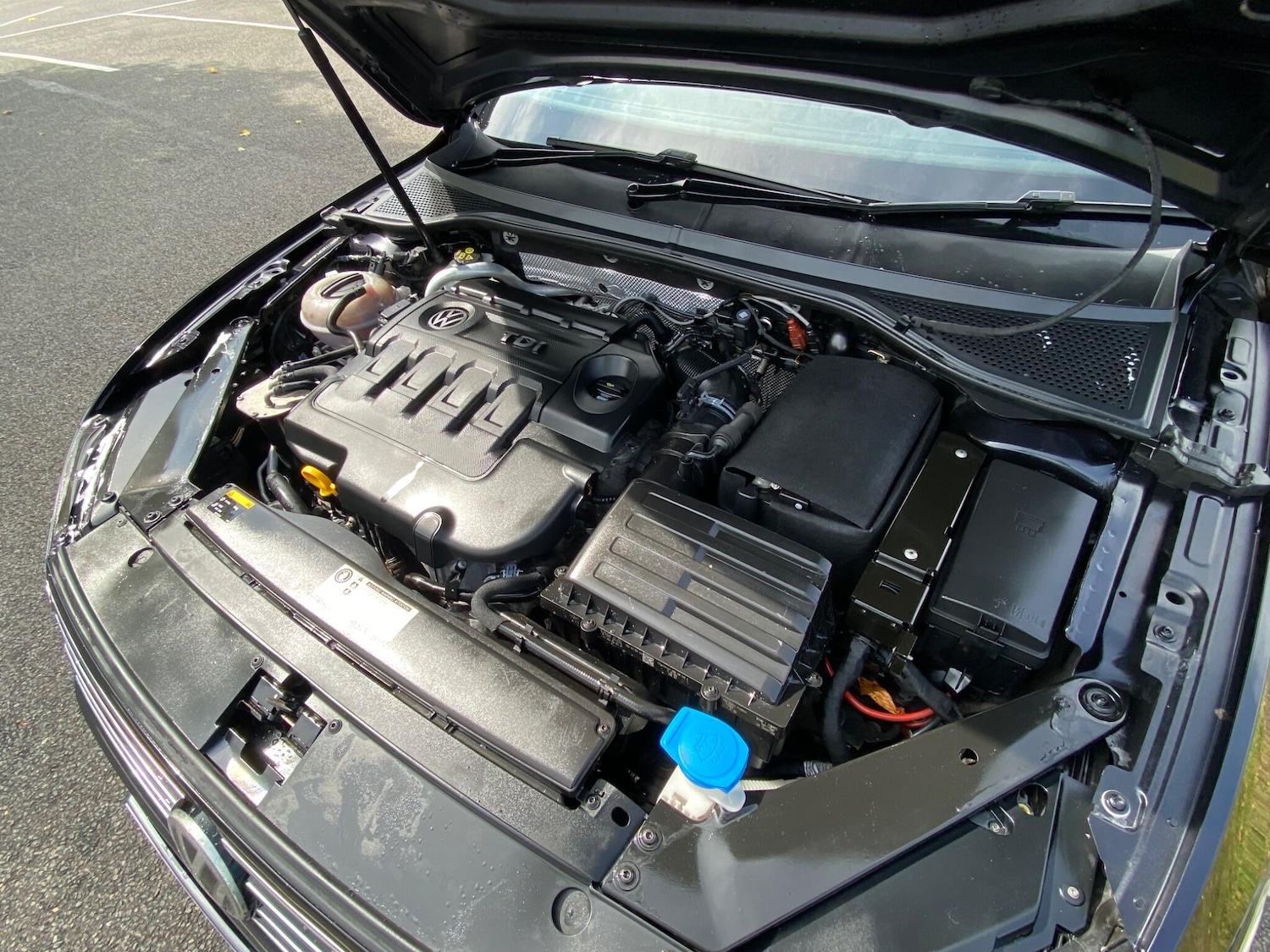 Used Volkswagen Passat 2015 for sale - 76539596: Photo 20