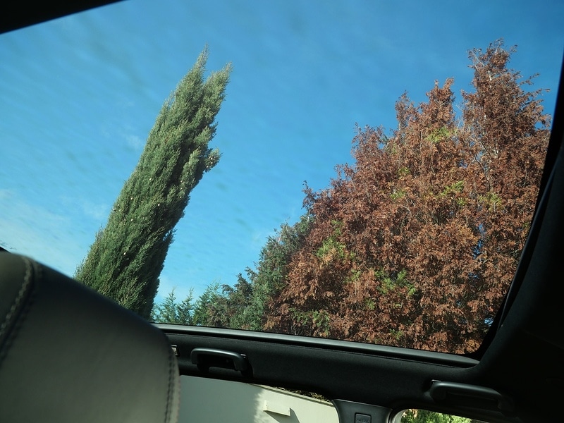 Used Land Rover Discovery Sport 2022 for sale - 76638654: Photo 24