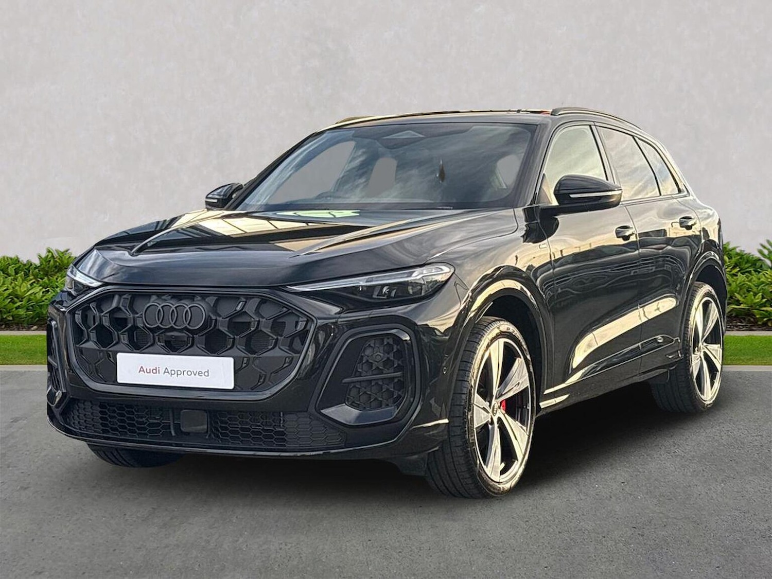 Used Audi Q5 2025 for sale - 76906341: Photo 20