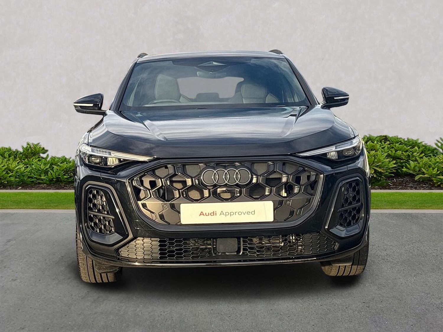 Used Audi Q5 2025 for sale - 76906341: Photo 5
