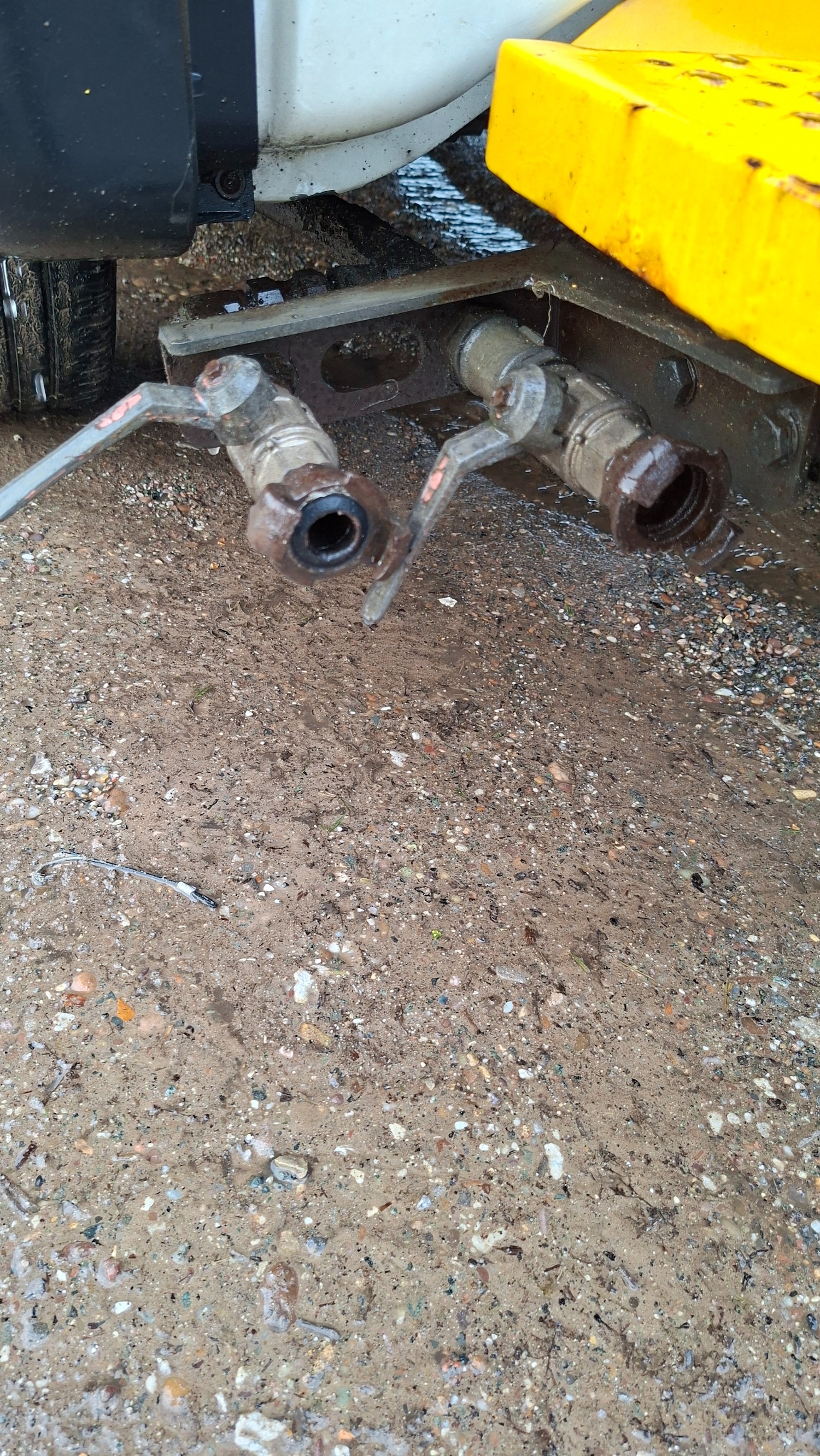 Used Iveco Daily 2019 for sale - 77527977: Photo 3