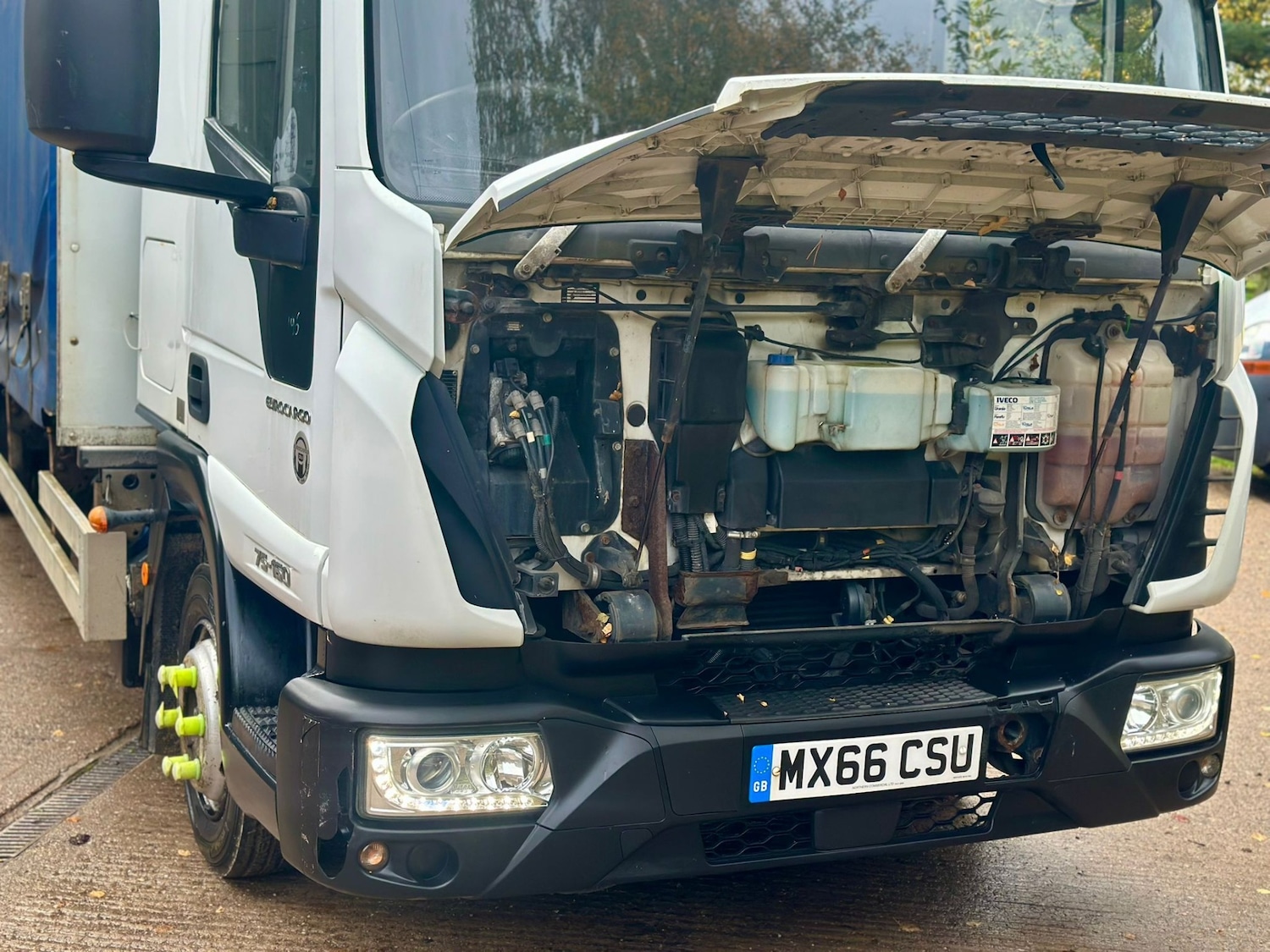 Used Iveco Eurocargo 2017 for sale - 76536885: Photo 6