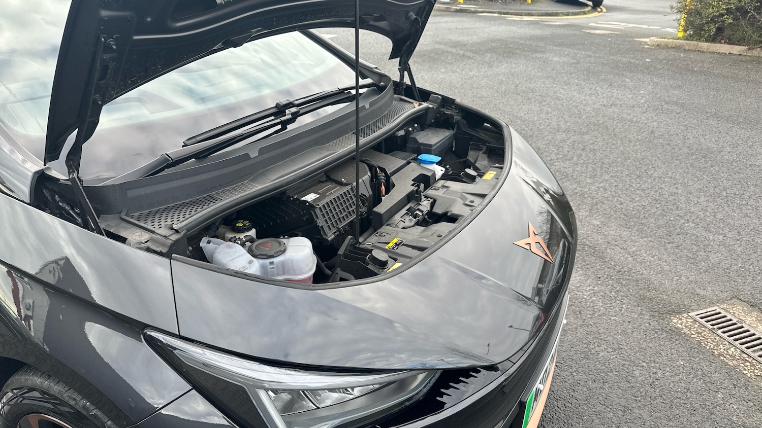 Used Cupra Born 2024 for sale - 76831519: Photo 8