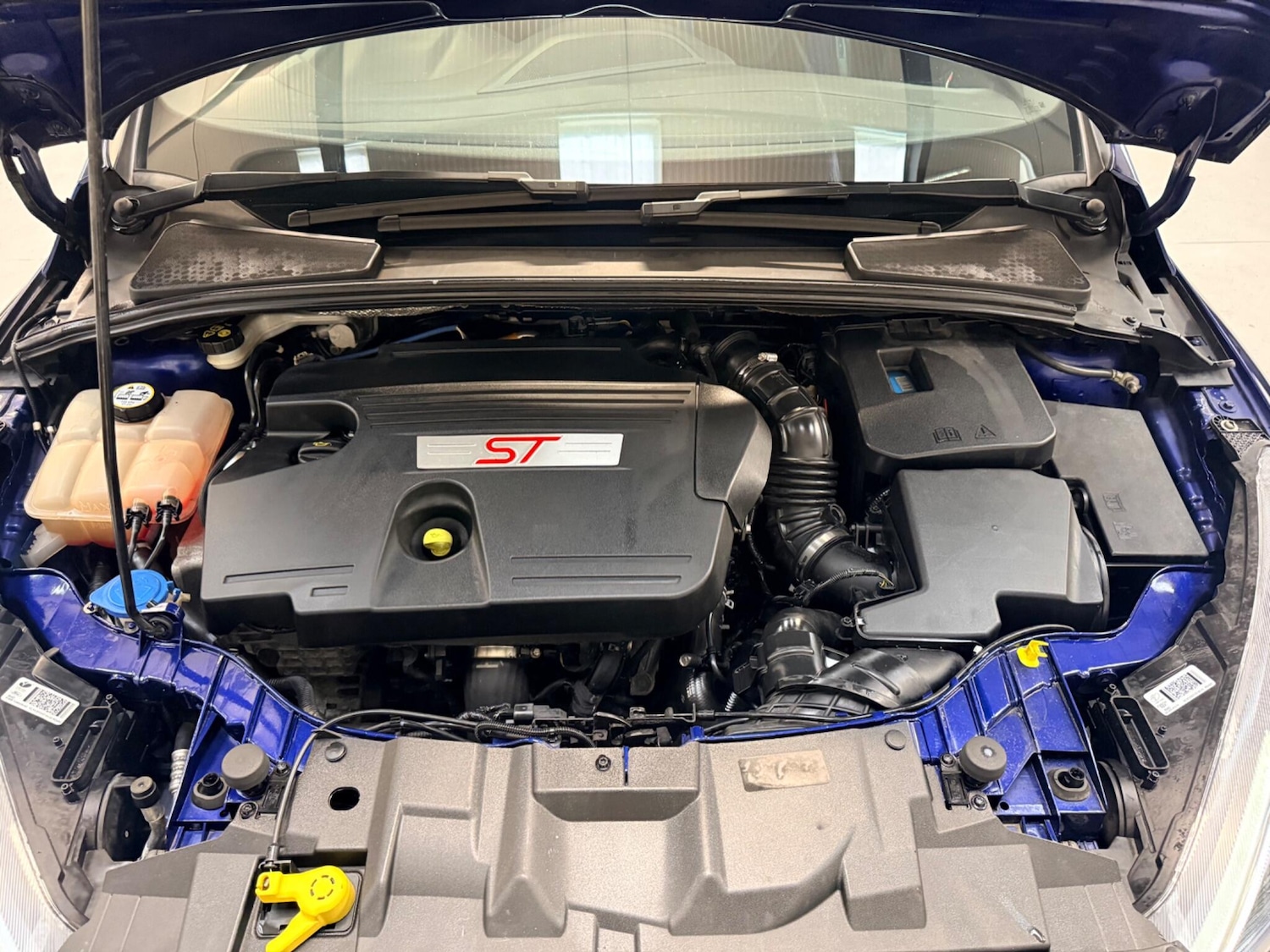 Used Ford Focus for sale - 77807934: Photo 34