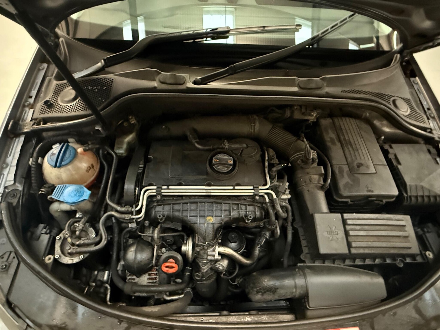 Used Audi A3 for sale - 77411814: Photo 18