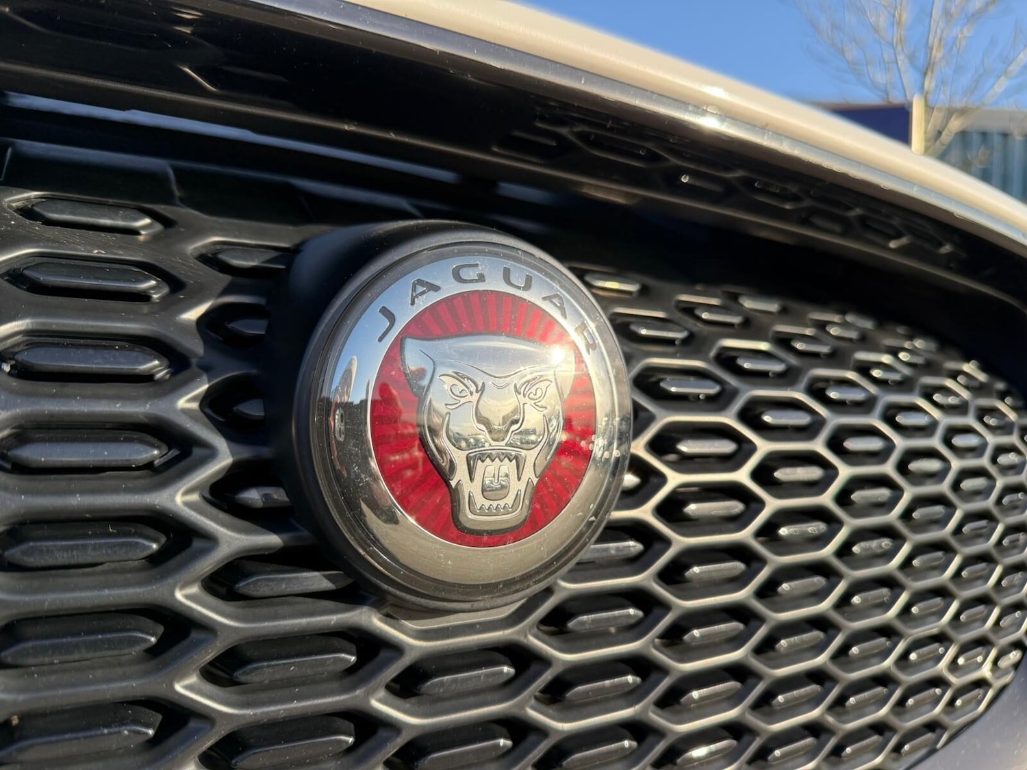 Used Jaguar I-Pace 2021 for sale - 76600032: Photo 16