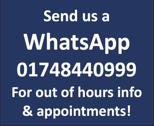 Used Land Rover Range Rover Evoque 2019 for sale - 75975002: Photo 42