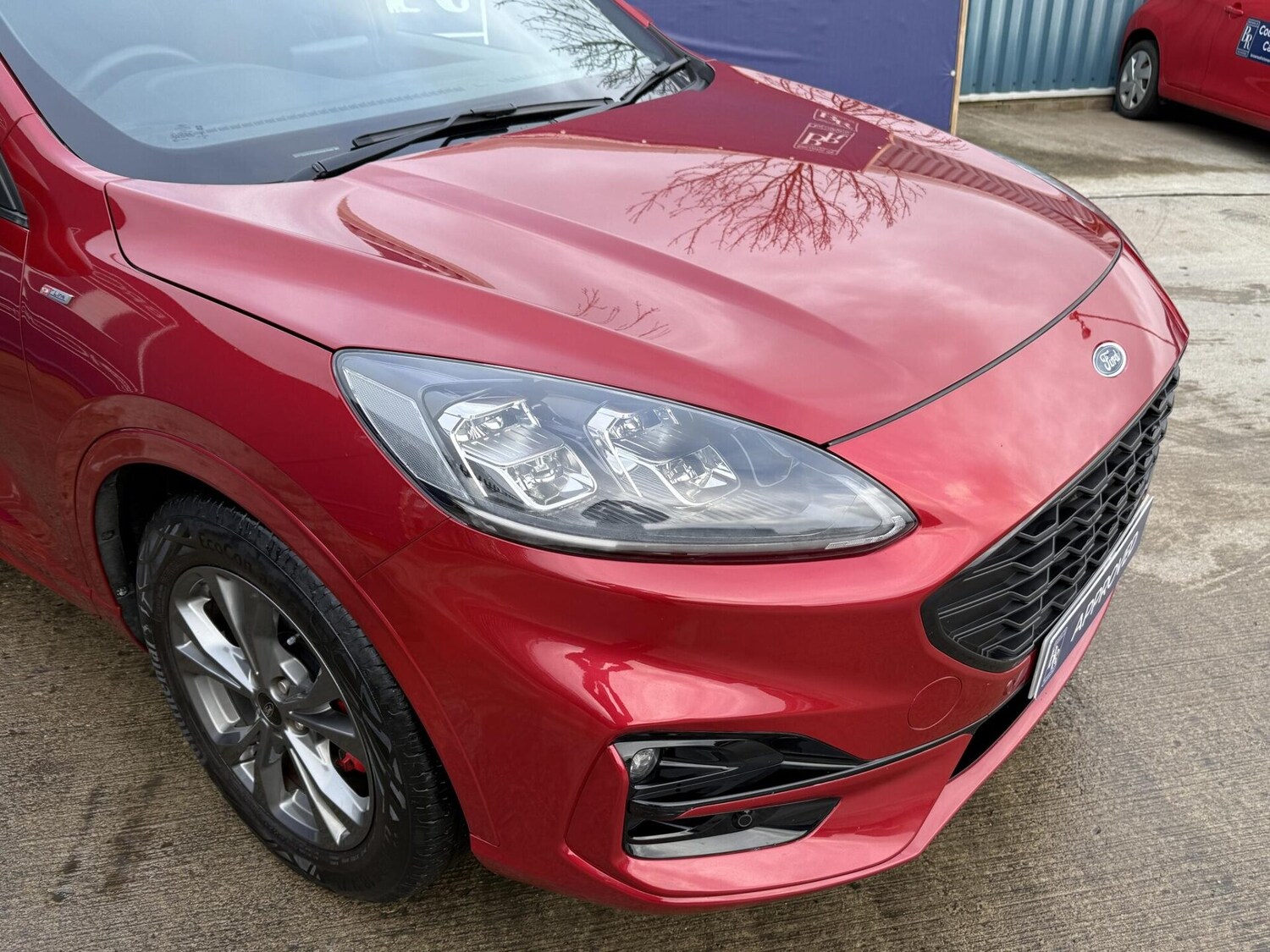 Used Ford Kuga 2022 for sale - 77729000: Photo 14