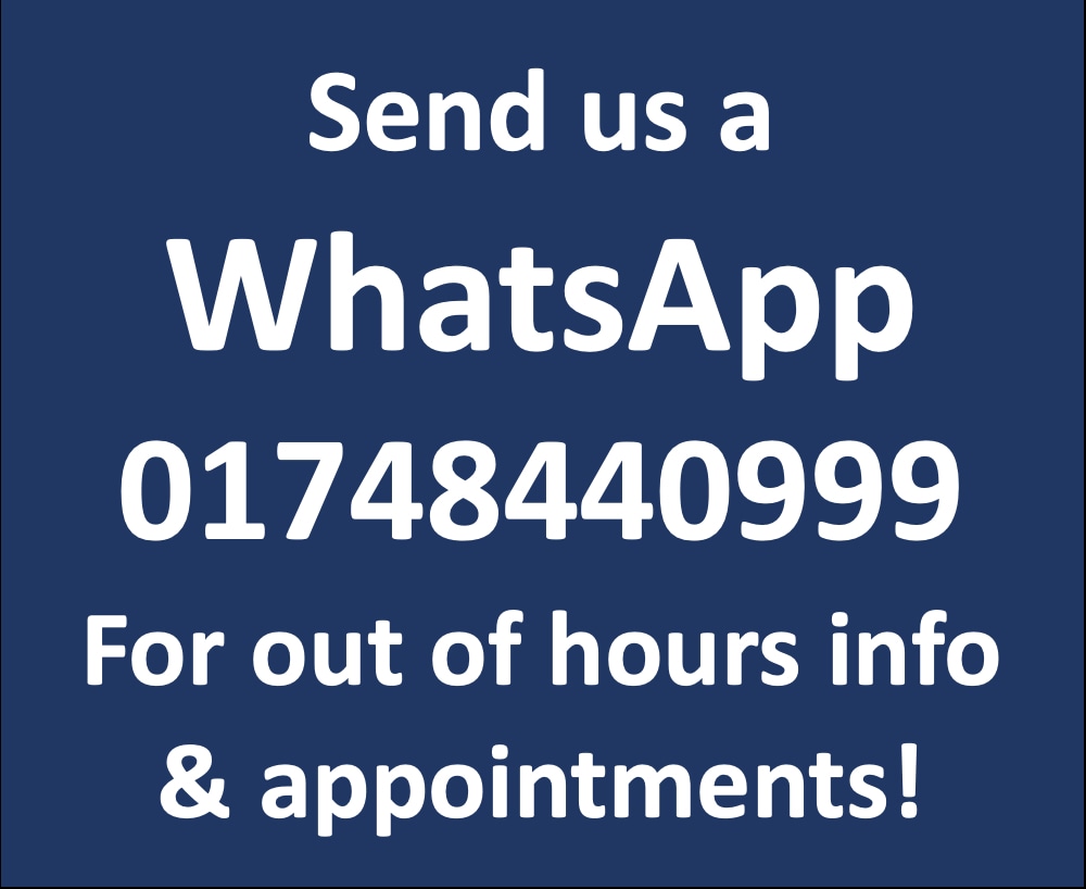 Used Tesla Model 3 2024 for sale - 77208256: Photo 40