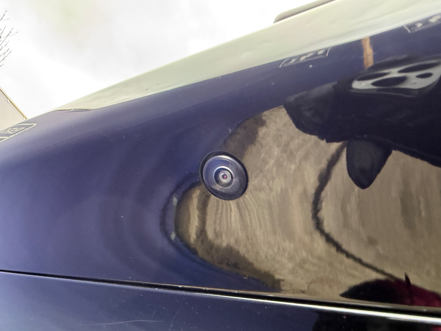 Used Ford Mustang Mach-E 2021 for sale - 77591476: Photo 24