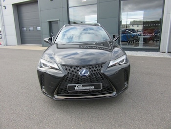 Used Lexus UX 2020 for sale - 79300945: Photo