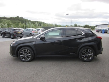 Used Lexus UX 2020 for sale - 79300945: Photo