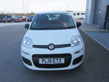 Used Fiat Panda 2019 for sale - 77967666: Photo