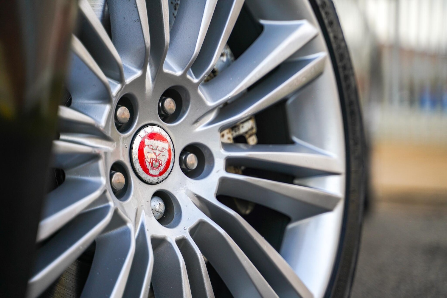 Used Jaguar XJ 2012 for sale - 77175248: Photo 32