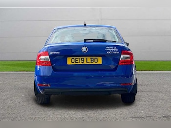 Used Skoda Octavia 2019 for sale - 79578950: Photo