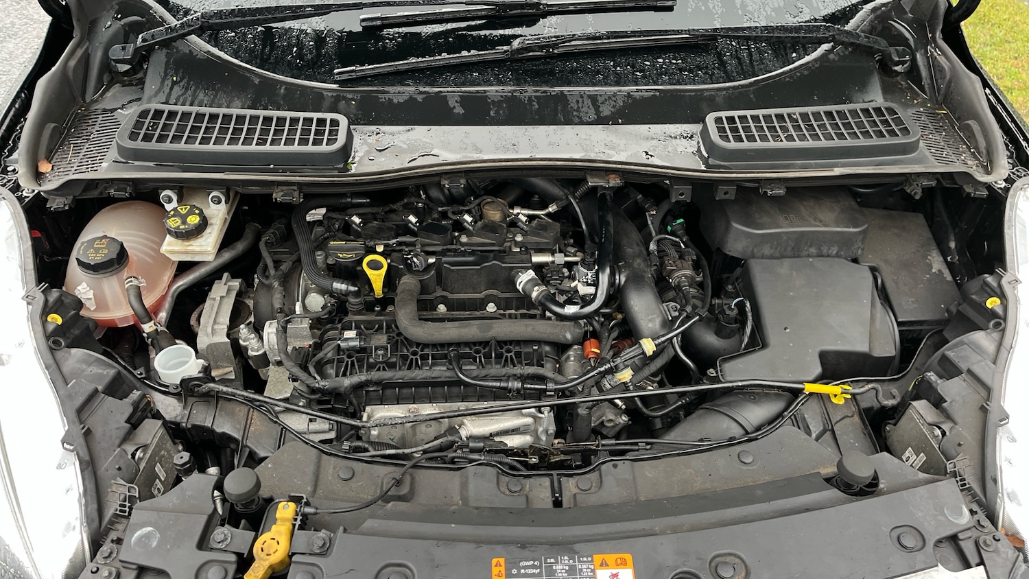 Used Ford Kuga 2019 for sale - 77643599: Photo 8