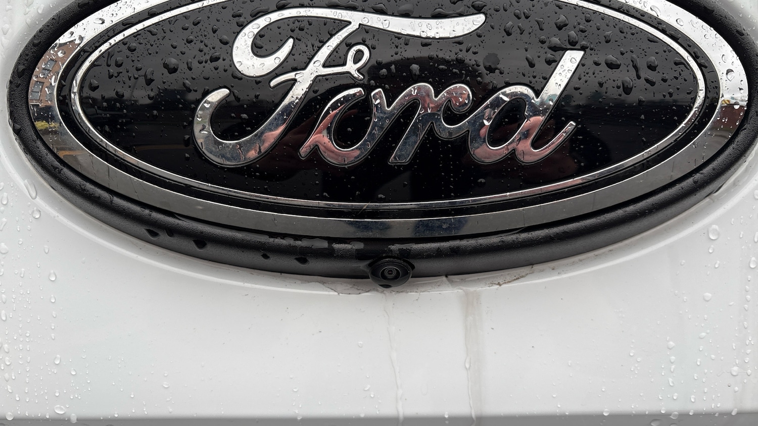 Used Ford Ranger 2024 for sale - 77541298: Photo 37