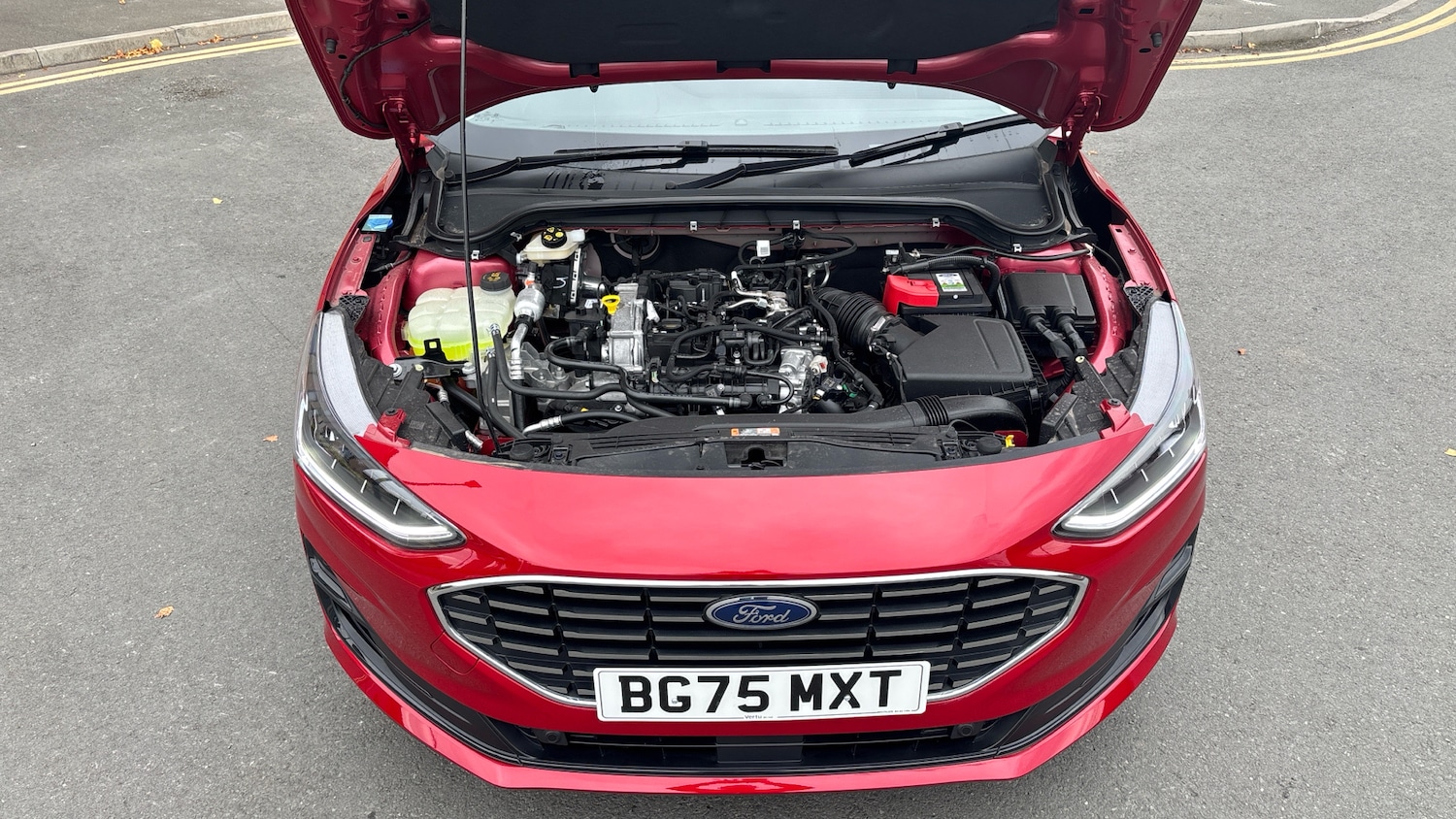 Used Ford Focus 2025 for sale - 77044590: Photo 8