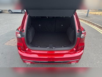 Used Ford Kuga 2023 for sale - 79457073: Photo
