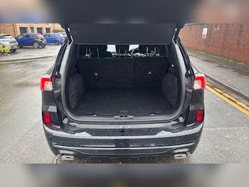 Used Ford Kuga 2023 for sale - 77474600: Photo