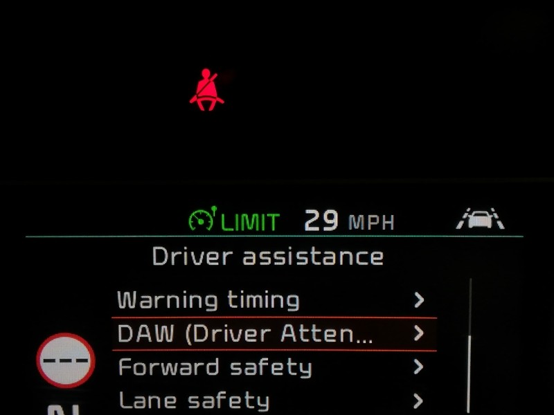 Used Kia Niro 2020 for sale - 77500032: Photo 16