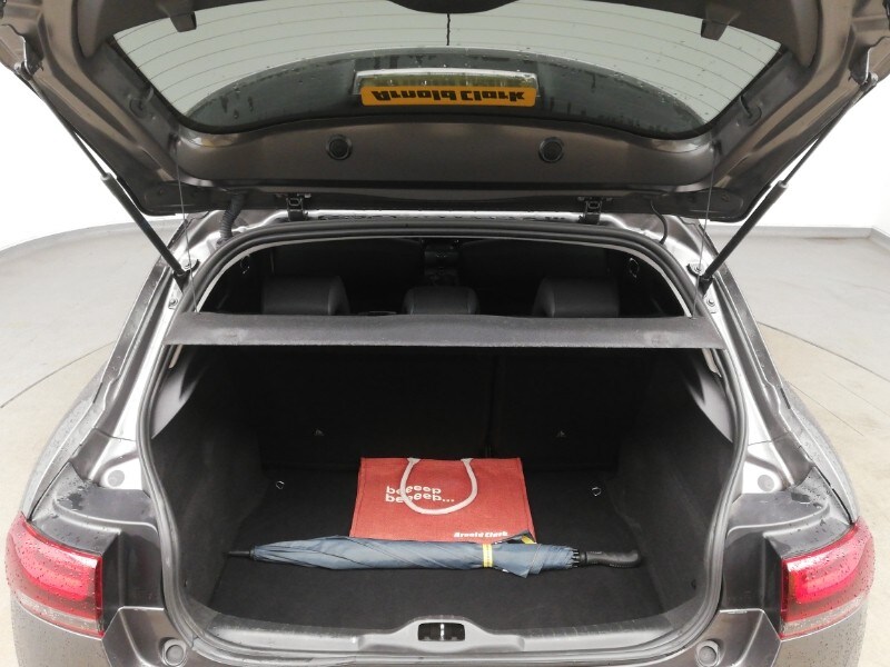 Used Citroen C4 Cactus 2019 for sale - 77491765: Photo 8