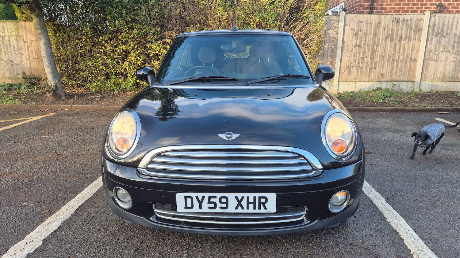 Used MINI Convertible 2009 for sale - 77253635: Photo 5