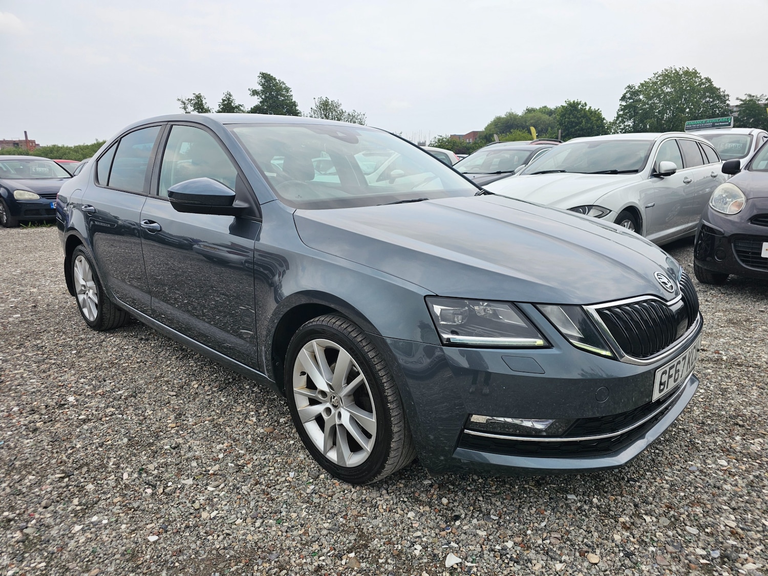 Used Skoda Octavia 2017 for sale - 76822035: Photo 1