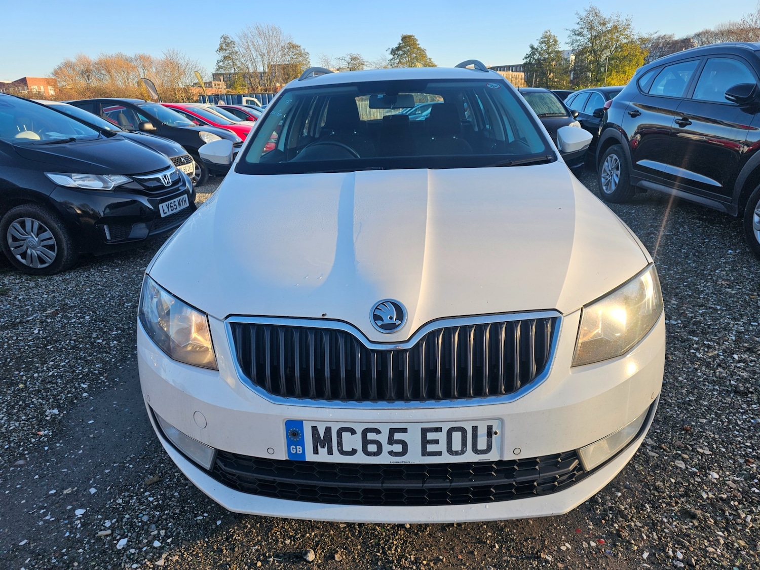 Used Skoda Octavia 2016 for sale - 76799434: Photo 8