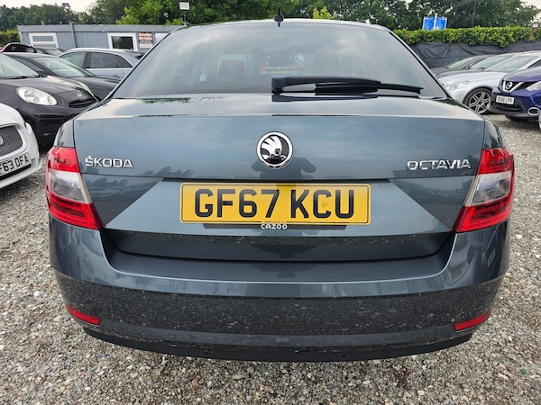Used Skoda Octavia 2017 for sale - 73080583: Photo 4
