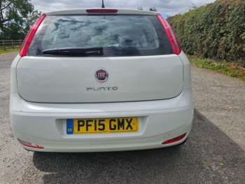 Used Fiat Punto 2015 for sale - 71552537: Photo