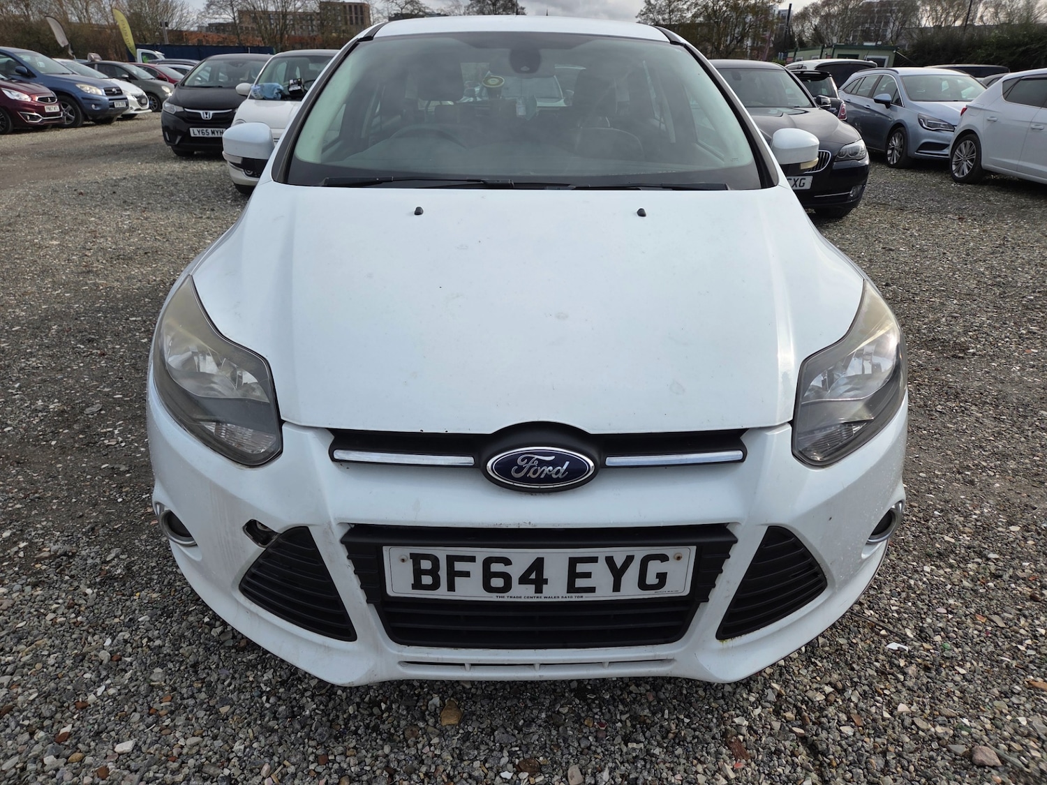 Used Ford Focus 2014 for sale - 77643892: Photo 8