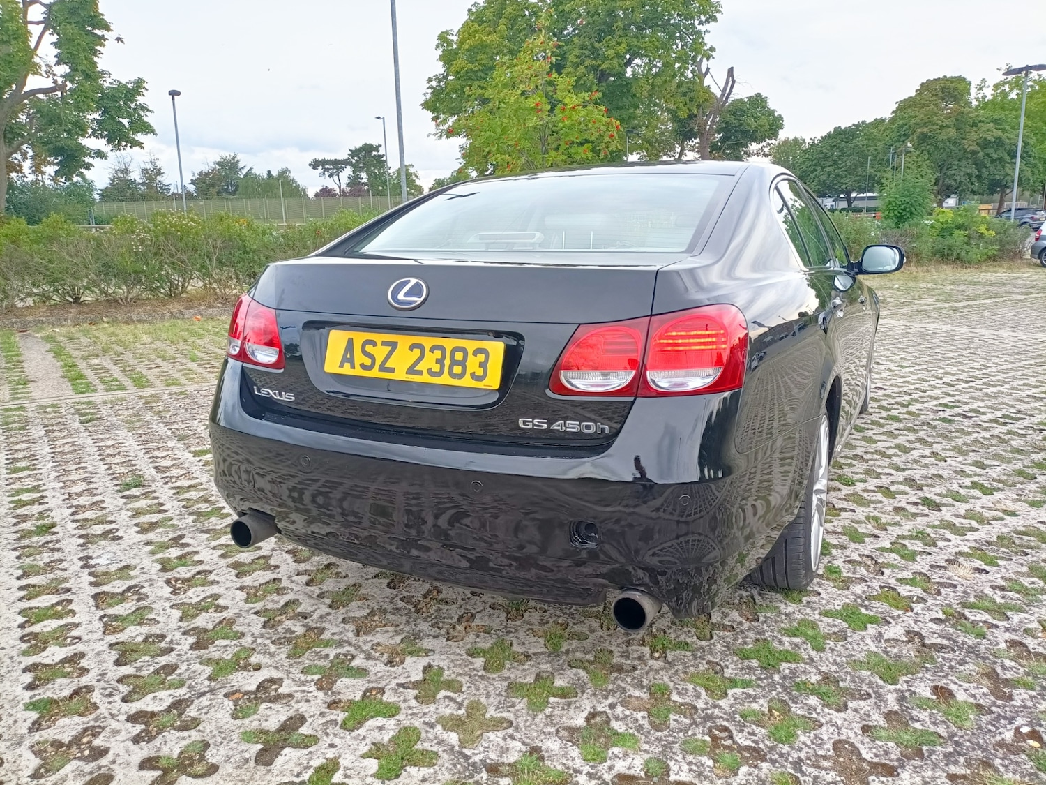 Vehicle 6