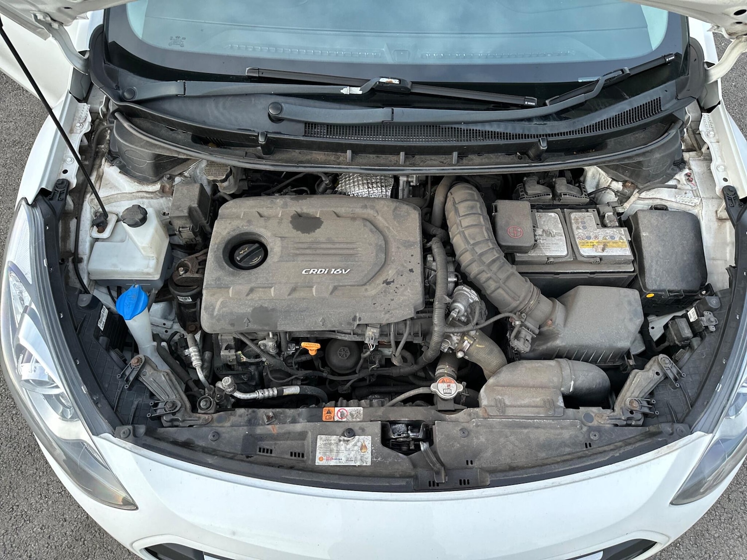 Used Hyundai i30 2016 for sale - 76408933: Photo 31