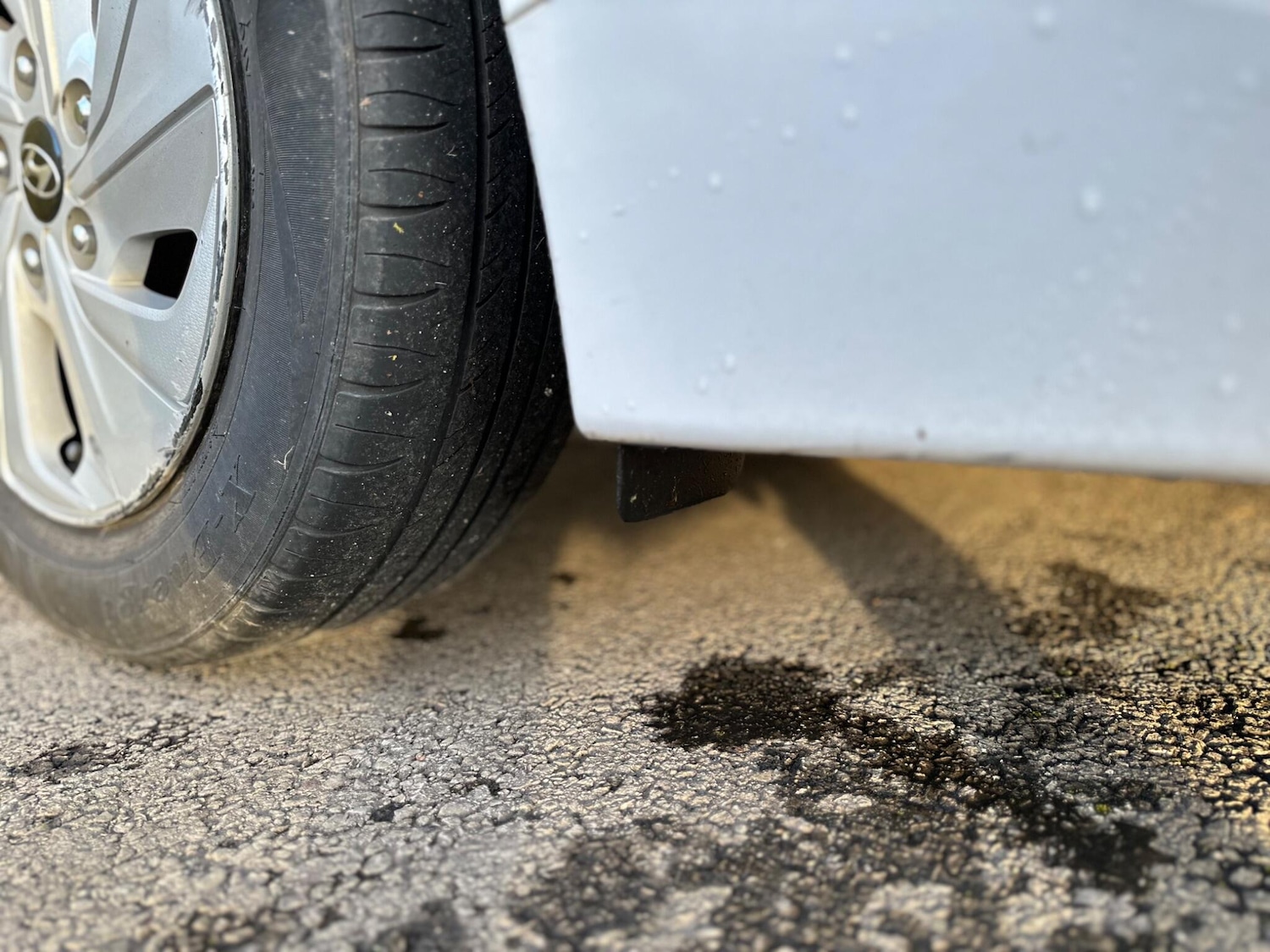 Used Hyundai IONIQ 2017 for sale - 76759438: Photo 61