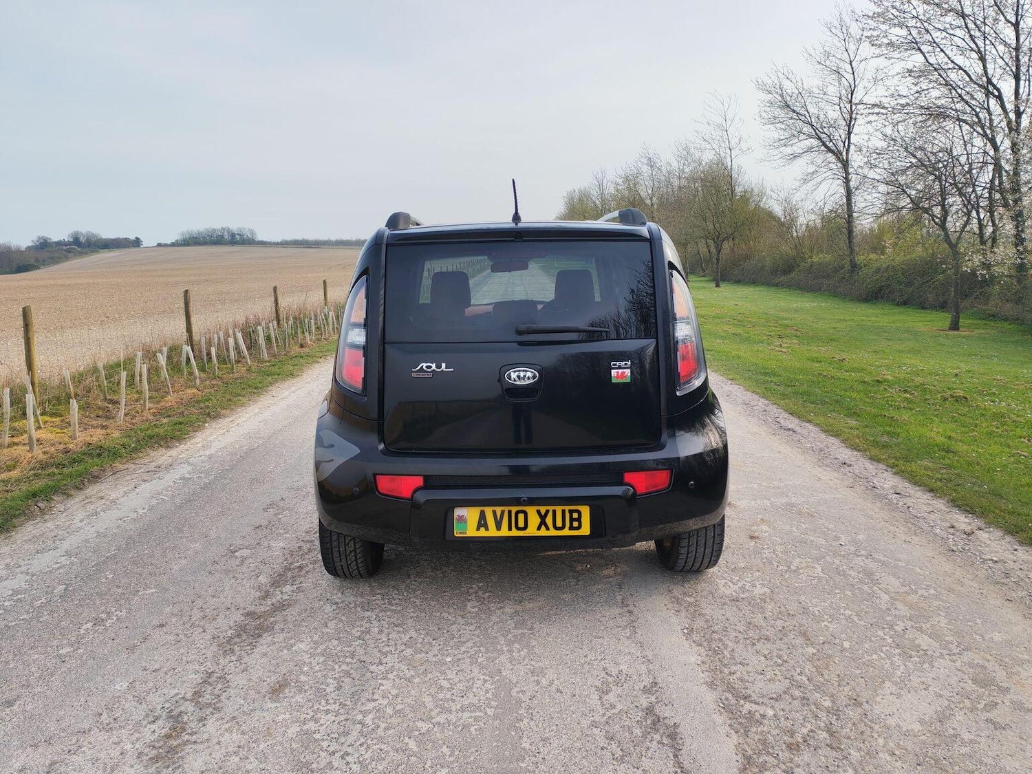 Used Kia Soul 2010 for sale - 77997239: Photo 11