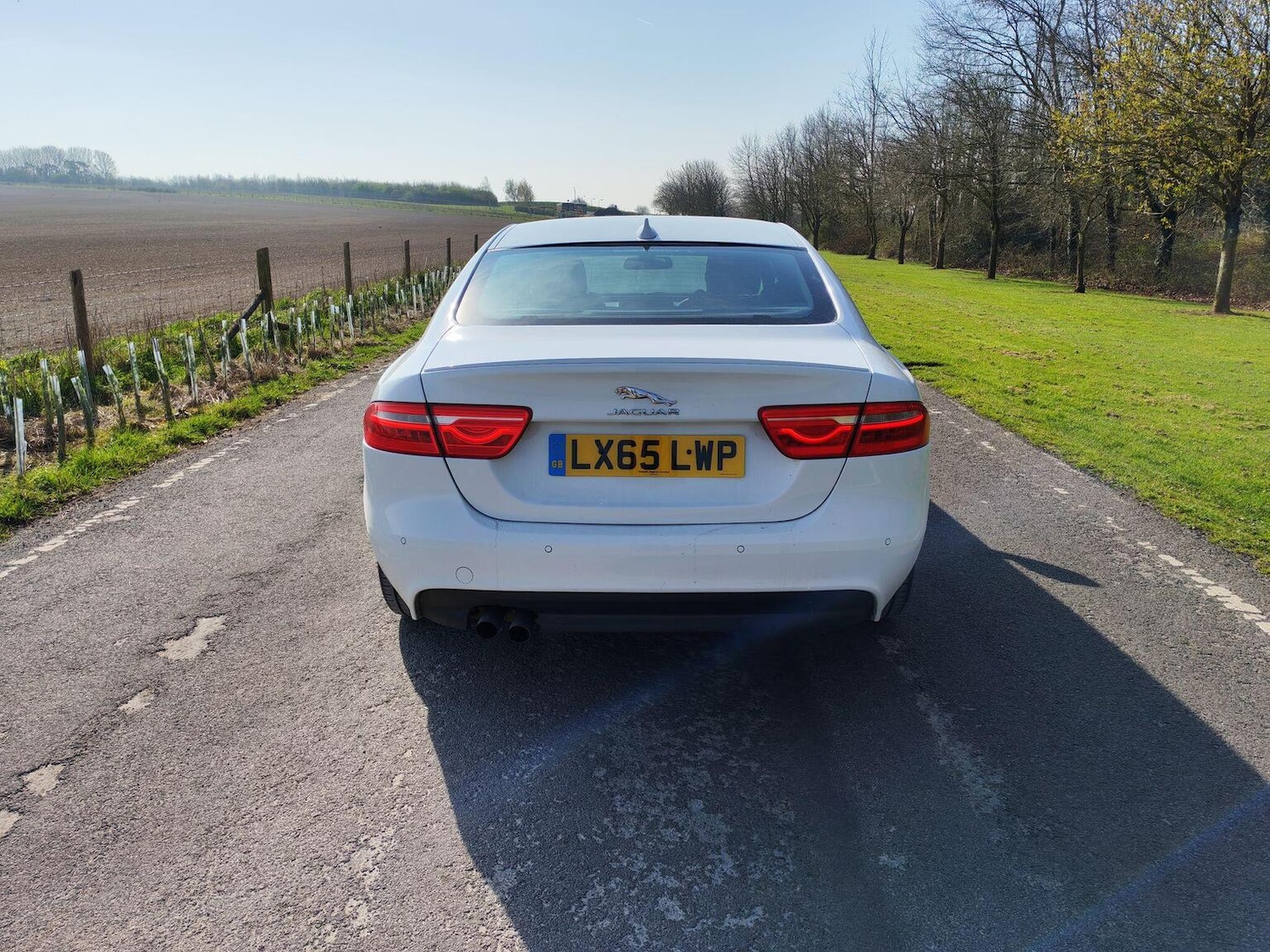 Used Jaguar XE 2015 for sale - 77968706: Photo 11