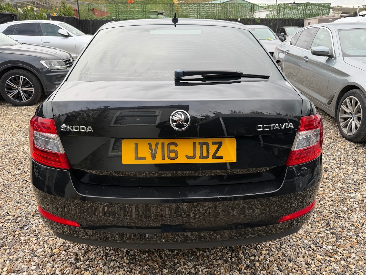 Used Skoda Octavia 2016 for sale - 77649698: Photo 5