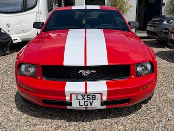 Used Ford Mustang 2019 for sale - 78605922: Photo