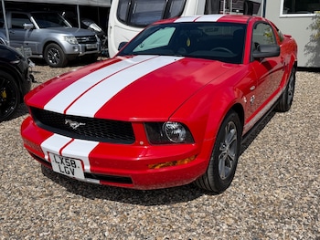 Used Ford Mustang 2019 for sale - 78605922: Photo