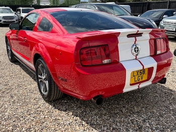 Used Ford Mustang 2019 for sale - 78605922: Photo
