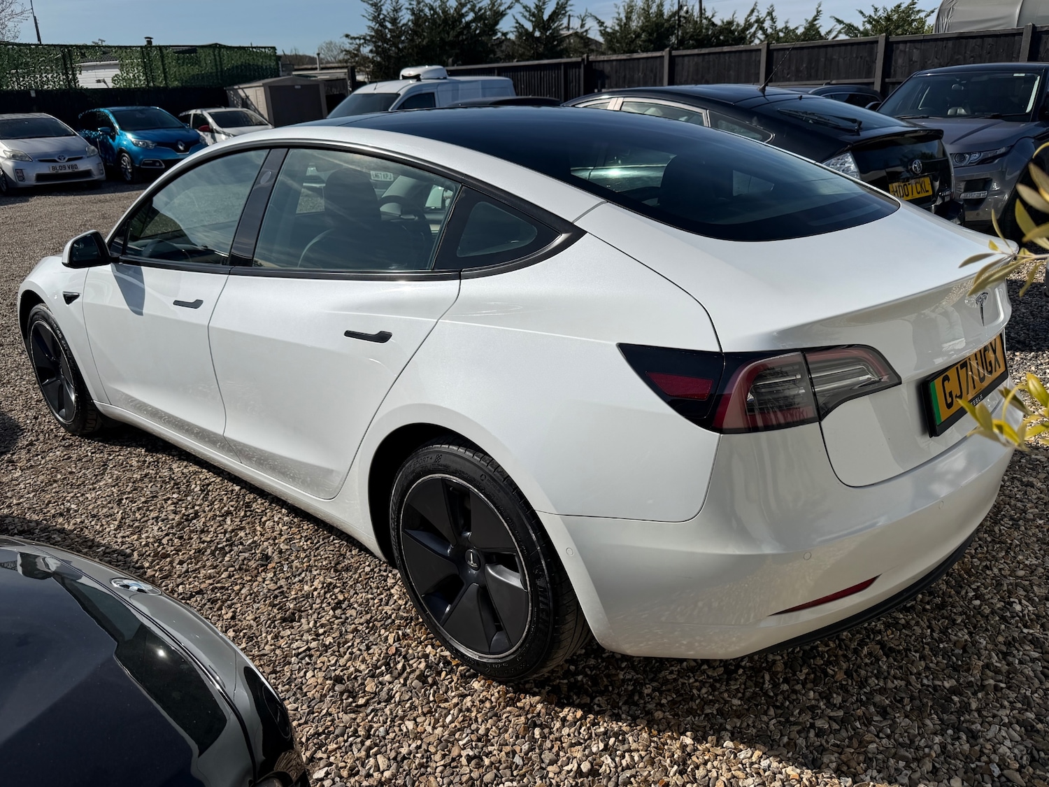 Used Tesla Model 3 2021 for sale - 77973675: Photo 4