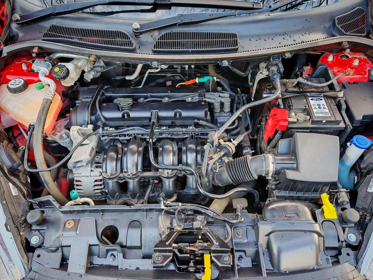 Used Ford Fiesta 2017 for sale - 76898255: Photo 33